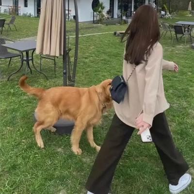 妈妈圈的流言蜚语海报